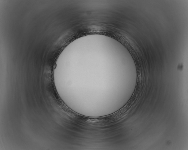 X0000091010557200708021408