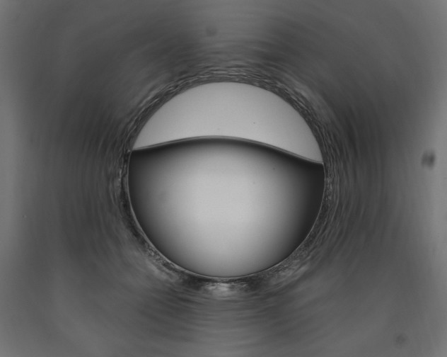 X0000091010558200708021408