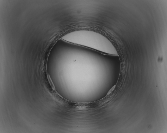 X0000091010560200708021408