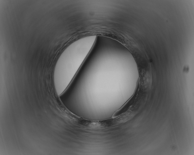 X0000091010562200708021408