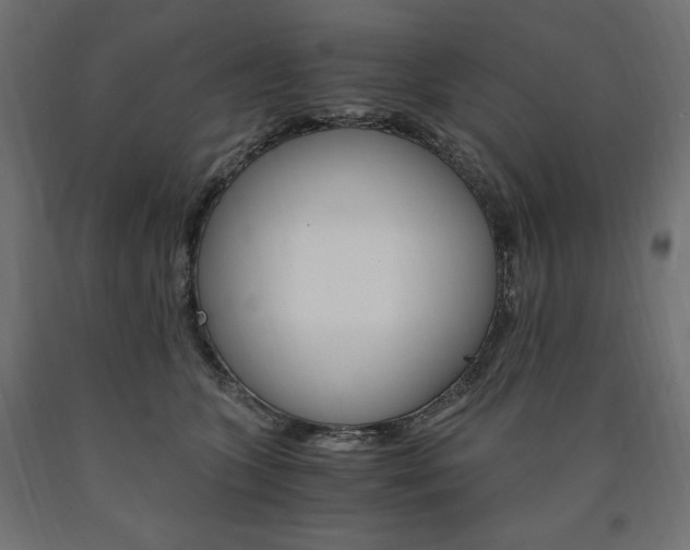 X0000091010563200708021408