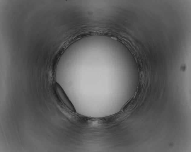 X0000091010564200708021408