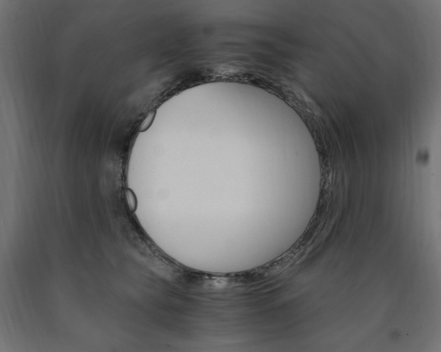 X0000091010565200708021408