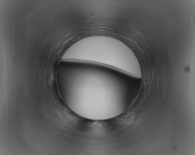 X0000091010566200708021408