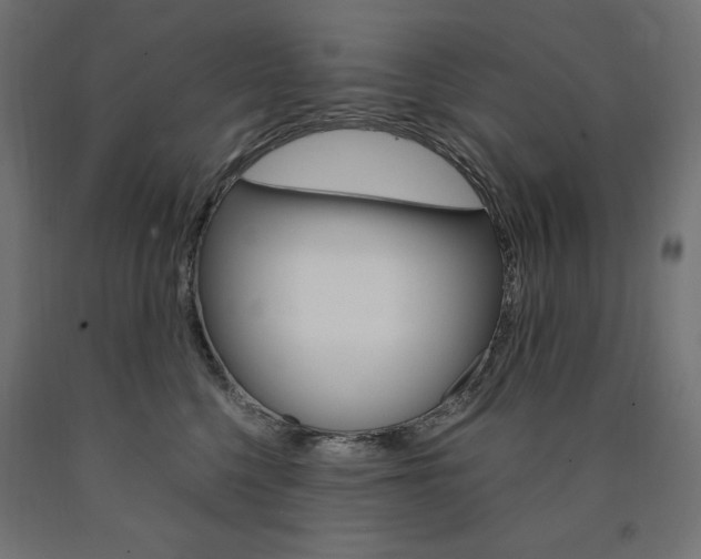 X0000091010568200708021408