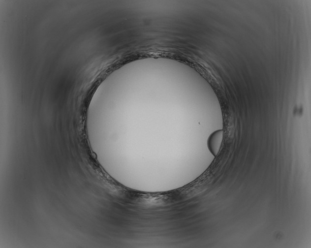 X0000091010569200708021408