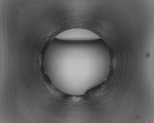 X0000091010570200708021408