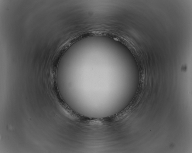 X0000091010572200708021408