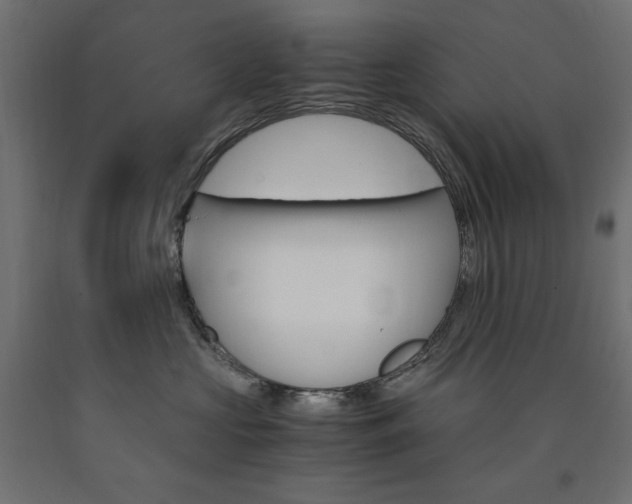 X0000091010573200708021408