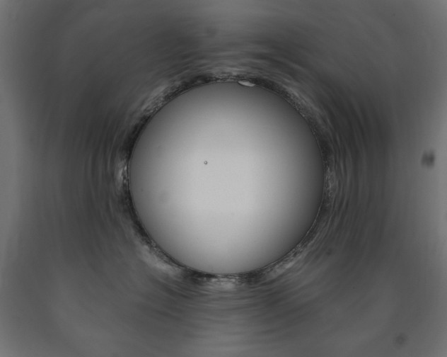 X0000091010574200708021408