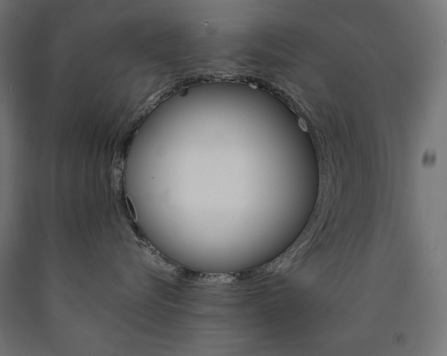X0000091010576200708021409