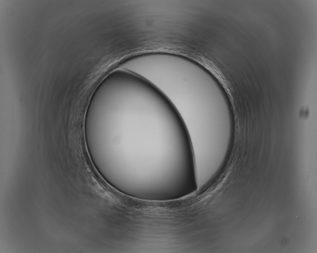 X0000091010577200708021408