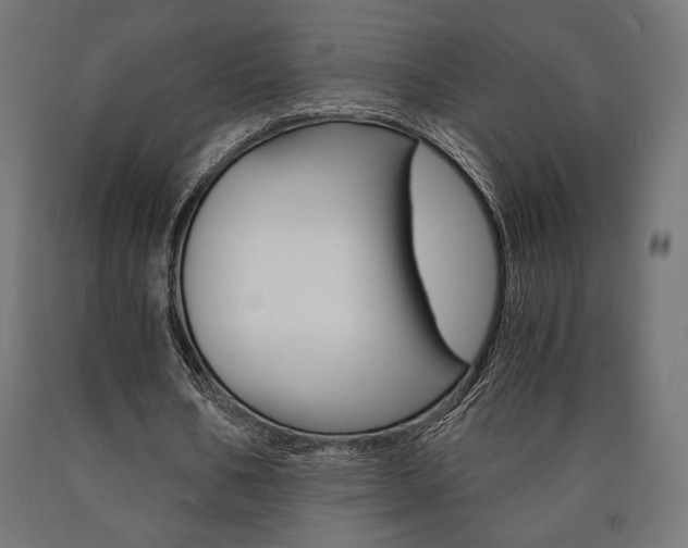 X0000091010578200708021408