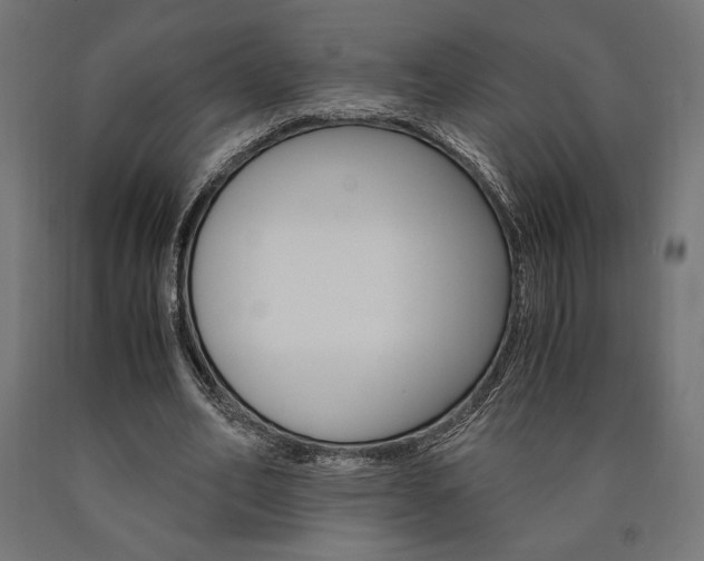 X0000091010582200708021408