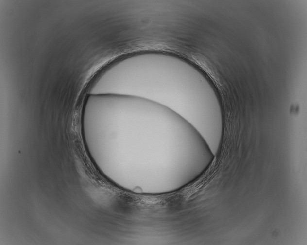 X0000091010583200708021408