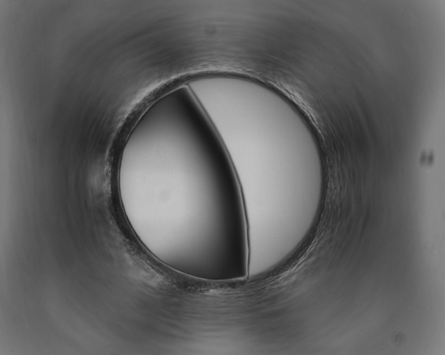 X0000091010584200708021408