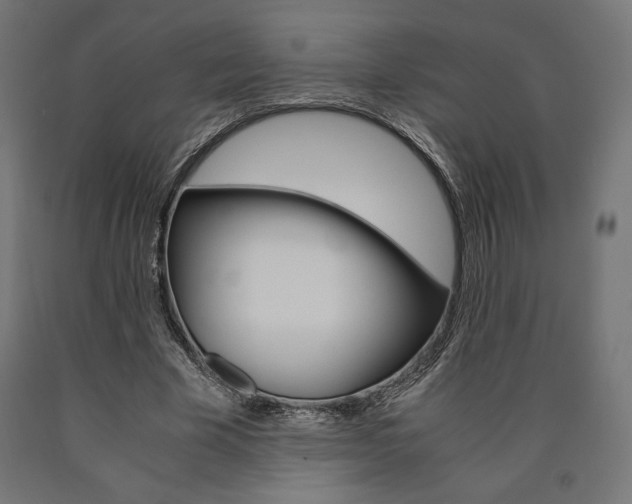X0000091010585200708021408