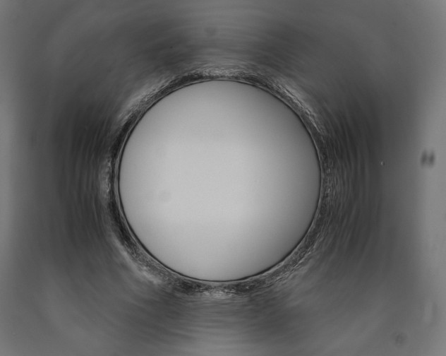 X0000091010586200708021408