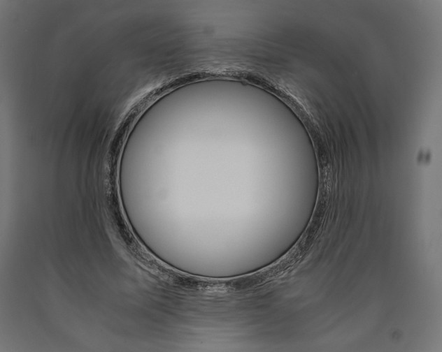X0000091010587200708021408