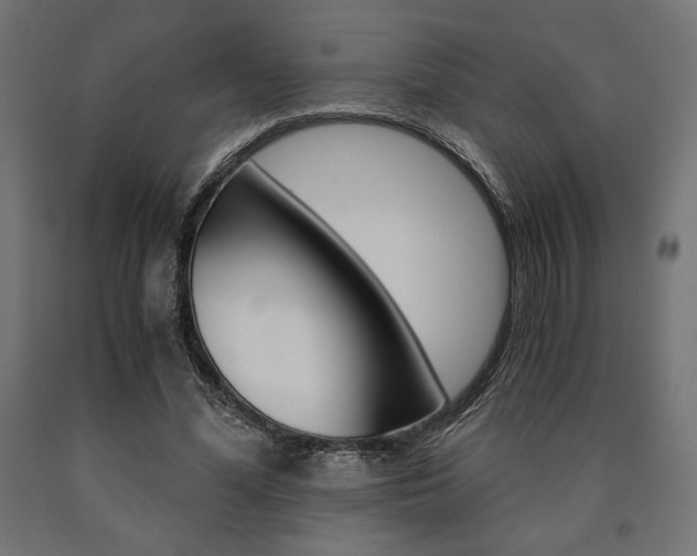 X0000091010588200708021408