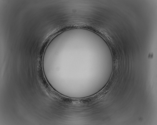 X0000091010591200708021408