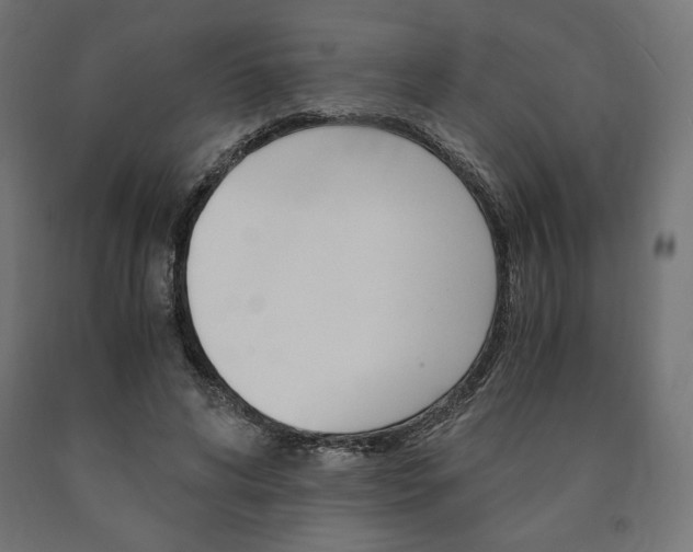 X0000091010592200708021408