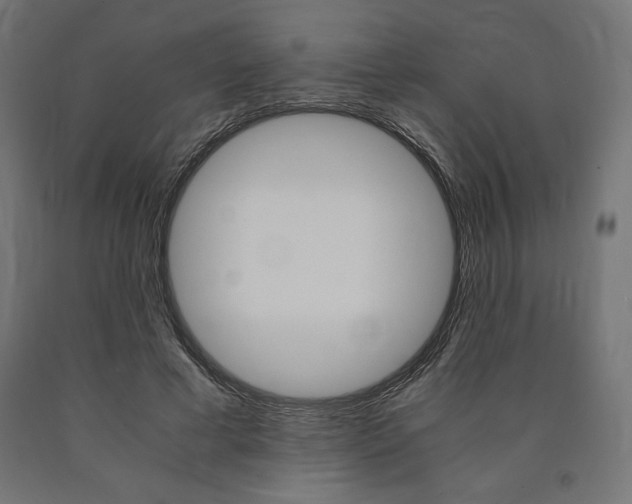 X0000091010593200708021408