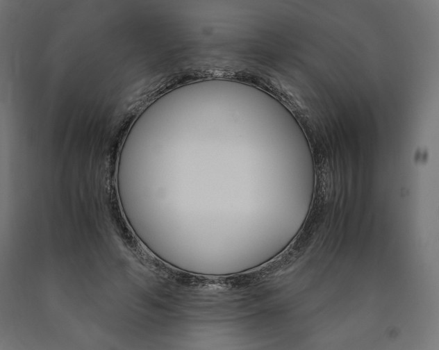 X0000091010594200708021408