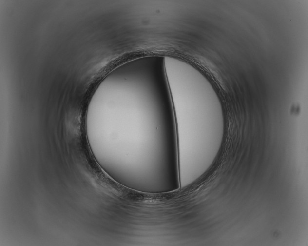 X0000091010596200708021408