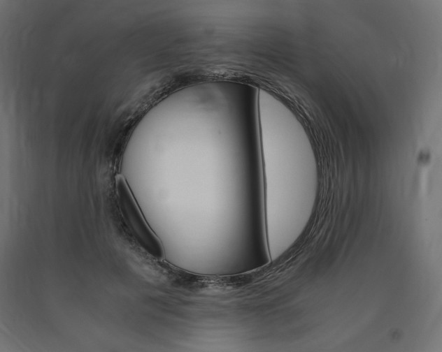 X0000091010601200708021407