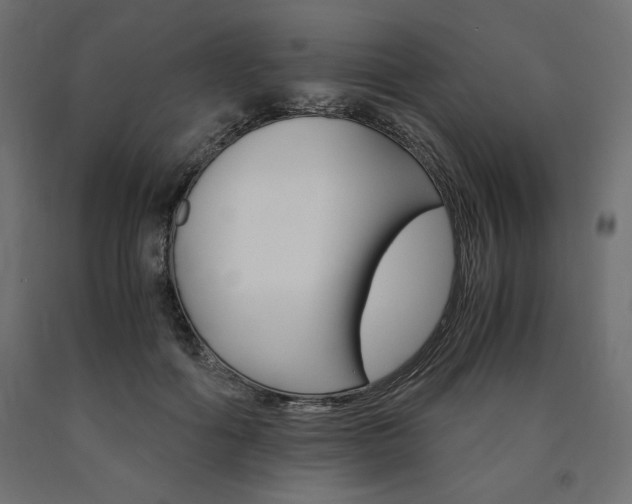X0000091010602200708021407