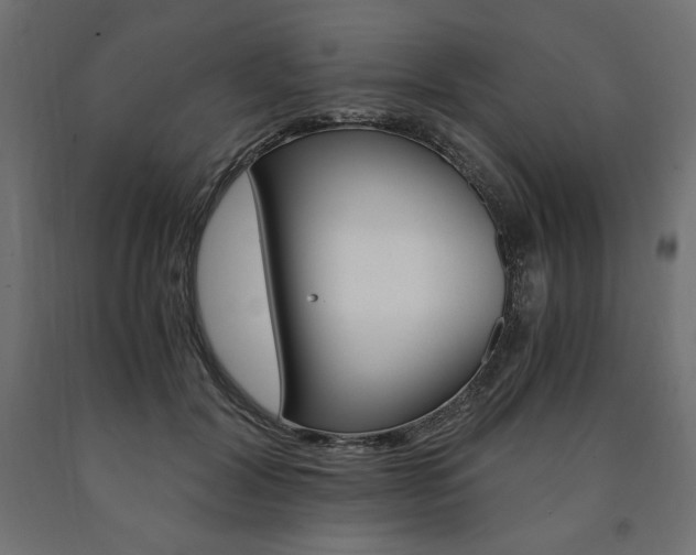 X0000091010604200708021407