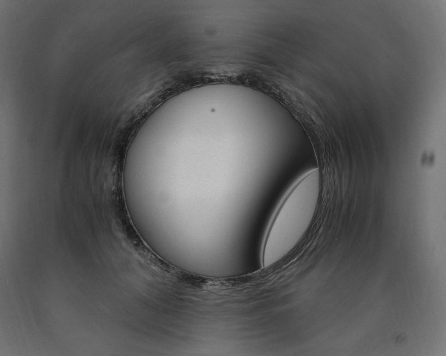 X0000091010608200708021407