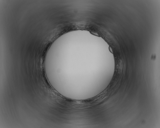X0000091010610200708021407