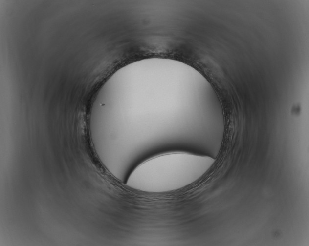 X0000091010612200708021407