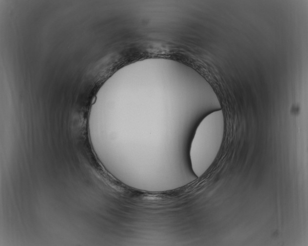 X0000091010614200708021407