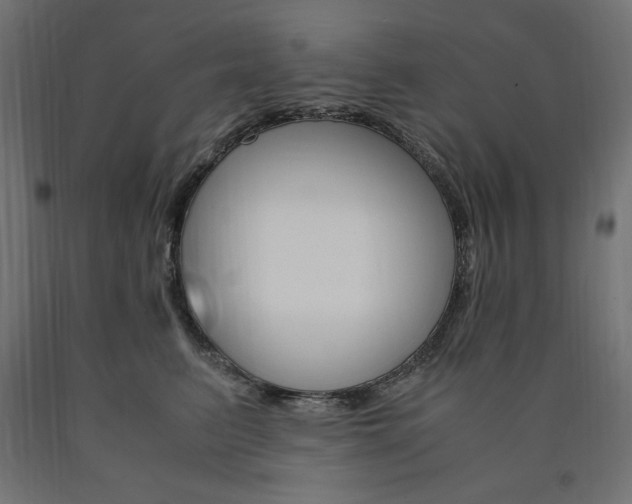X0000091010615200708021407