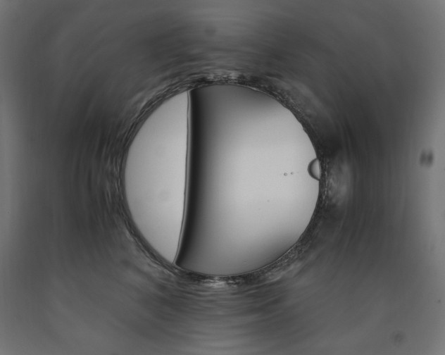 X0000091010616200708021407
