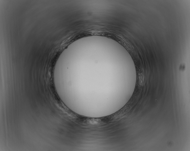 X0000091010618200708021407