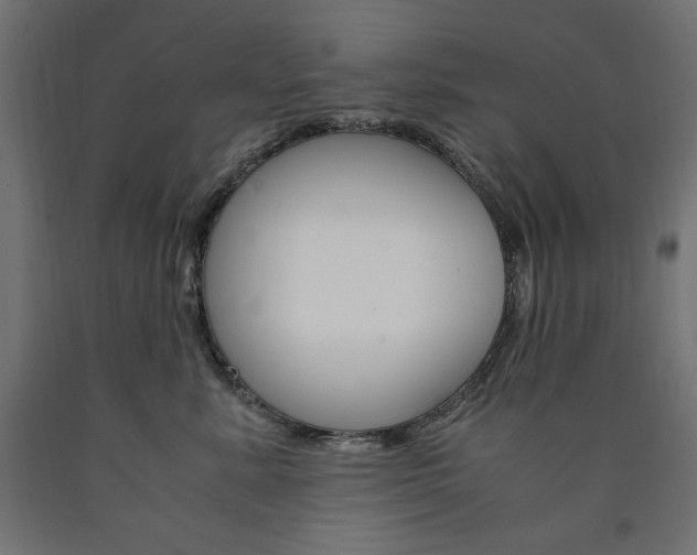 X0000091010619200708021407