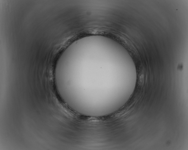 X0000091010620200708021407