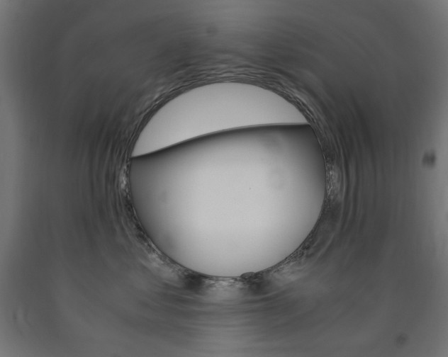 X0000091010621200708021407