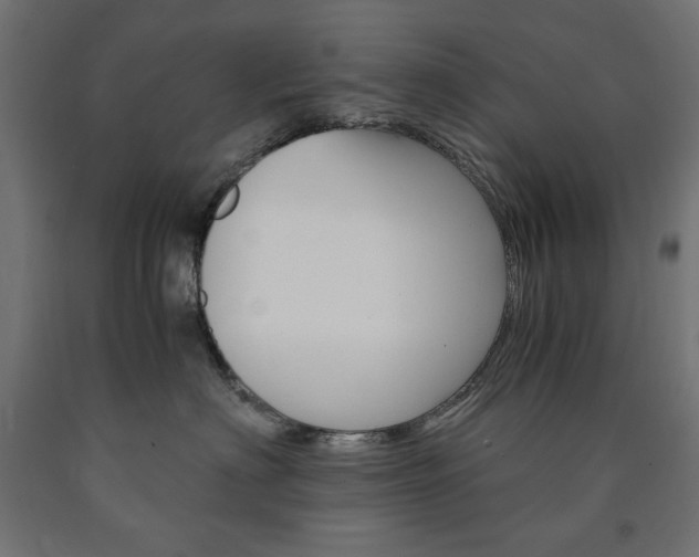 X0000091010622200708021407