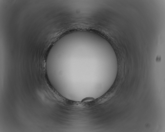 X0000091010624200708021407
