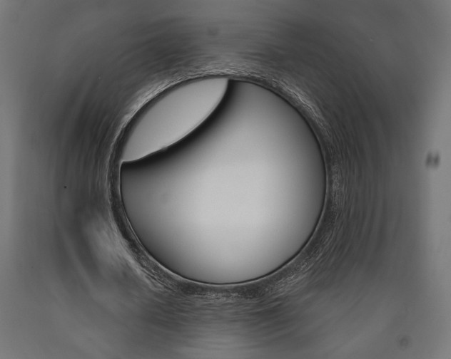 X0000091010626200708021407