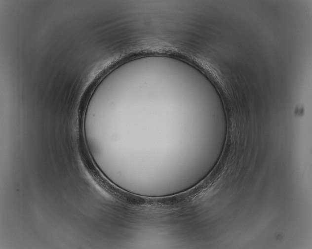 X0000091010630200708021407