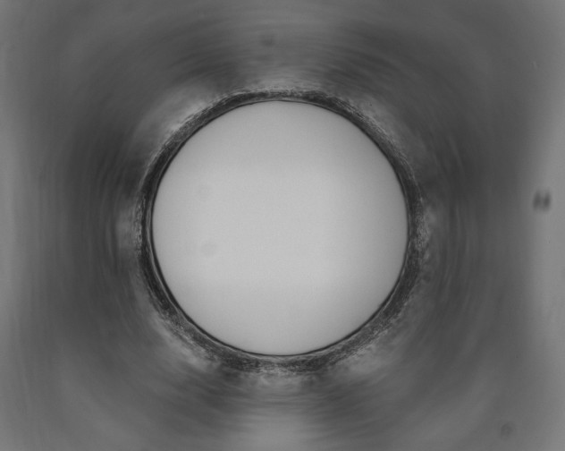 X0000091010632200708021407