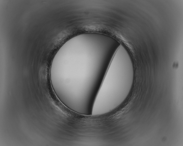 X0000091010637200708021407