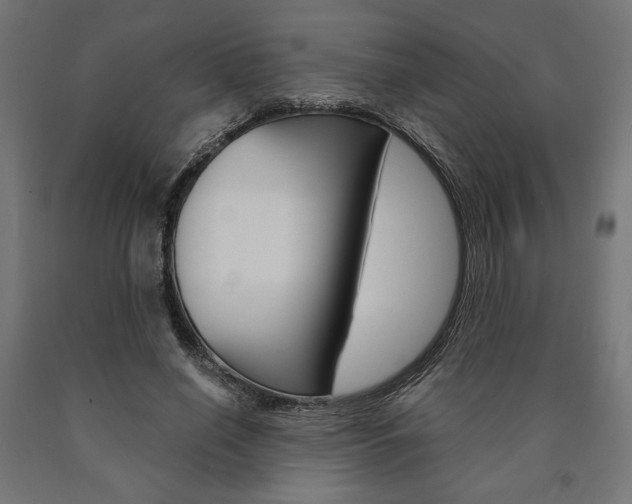 X0000091010638200708021407