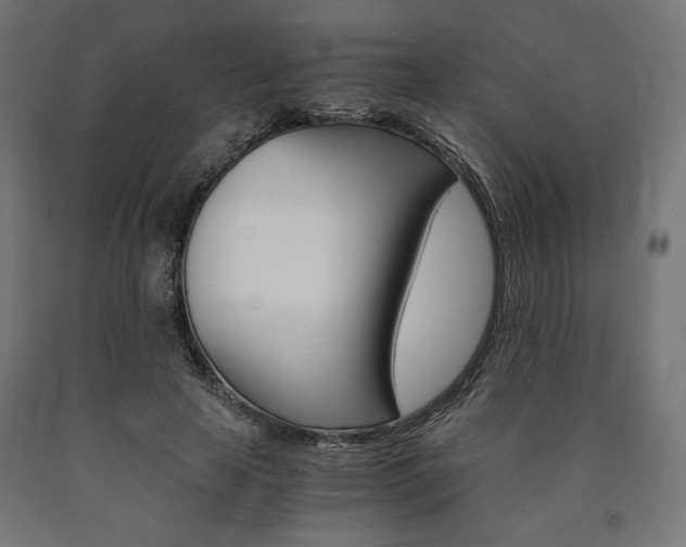 X0000091010641200708021407